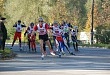 Россыпь медалей лыжных гонок Россыпь медалей лыжных гонок